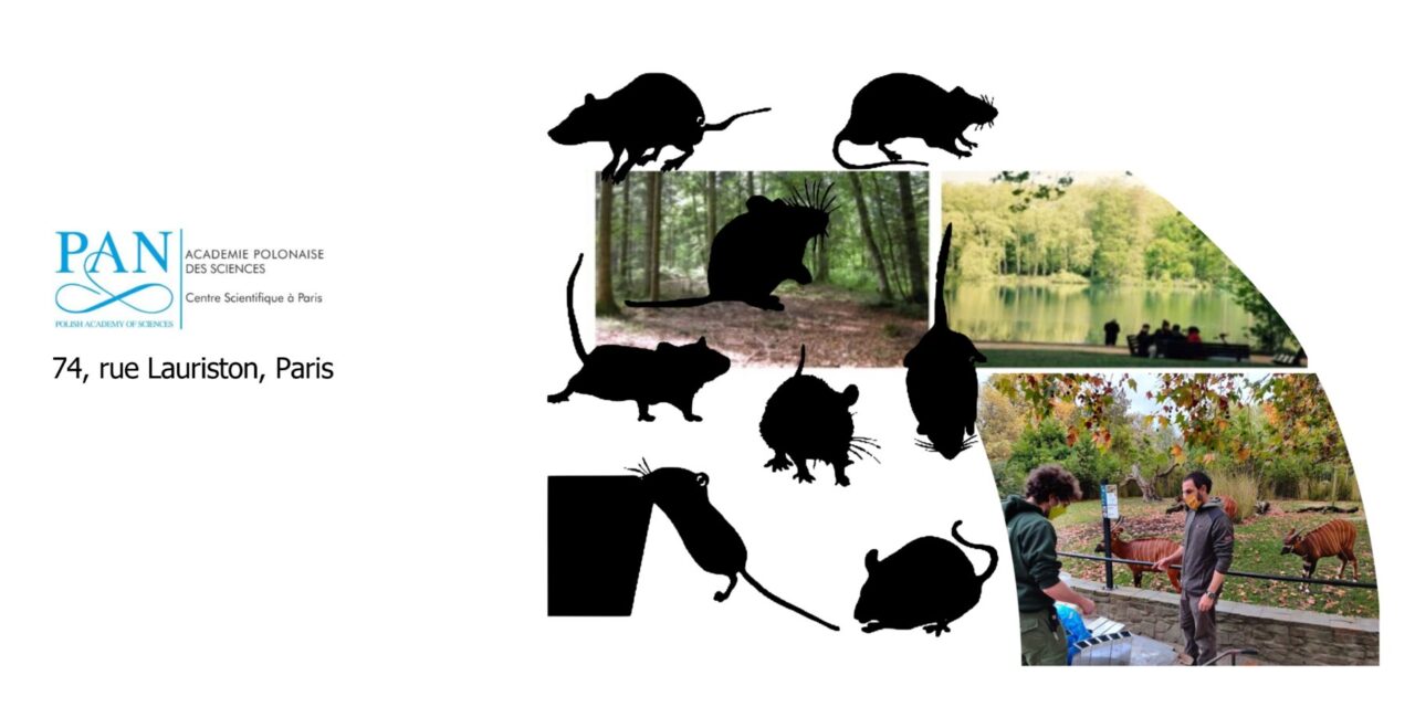 Pathogens-pathogens and pathogens-microbiome interactions in wildlife: their detection and their influence on zoonotic risks