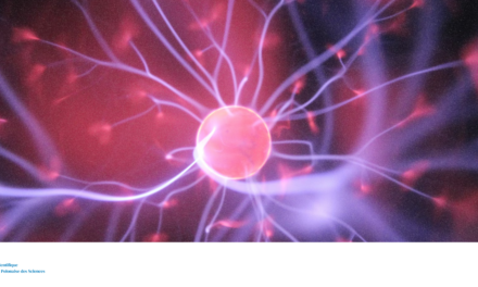 Summary of the event “COPIN GANIL (COPIGAL) Collaboration Workshop”